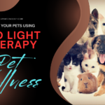 Red Light Therapy for Pets: Benefits for Animal Health