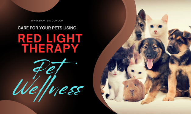 Red Light Therapy for Pets: Benefits for Animal Health